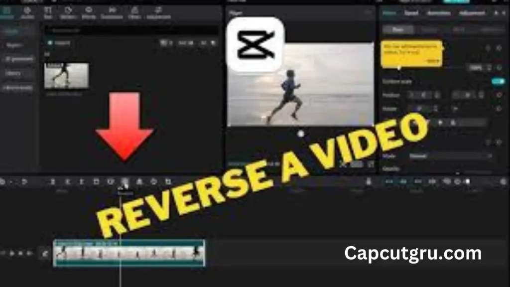 capcut Reverse video effect