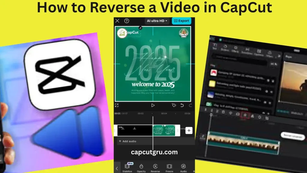 How to Reverse a Video in CapCut