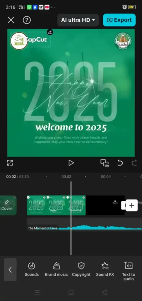 How to Add music to video in CapCut: A Complete Guide 5 How to add music to video in Capcut1