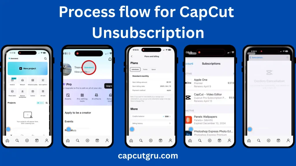 How to Cancel CapCut Pro Subscription – A Complete Step-by-Step Guide 2 Process flow : How to Cancel CapCut Pro Subscription